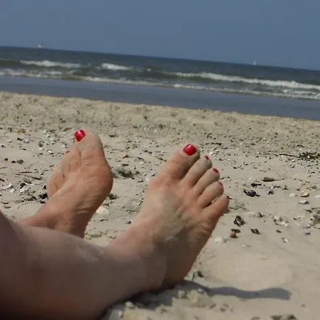 Strandhafer *