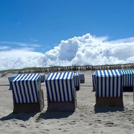 Strandhafer